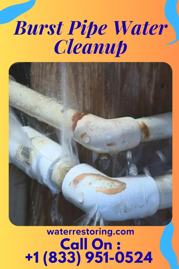 Burst Pipe Water Cleanup in Phillipsburg, NJ