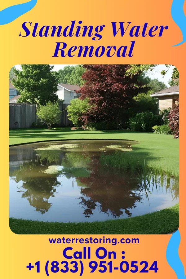 Standing Water Removal in Phillipsburg, NJ